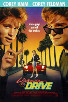 poster Sin permiso para manejar&nbsp;&nbsp;(1988)