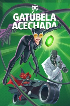 poster Catwoman: Acechada