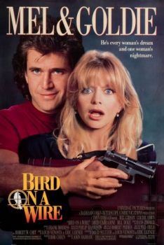 poster Tiro al blanco&nbsp;&nbsp;(1990)