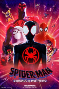 poster Spider-Man: A Través Del Spider-Verso