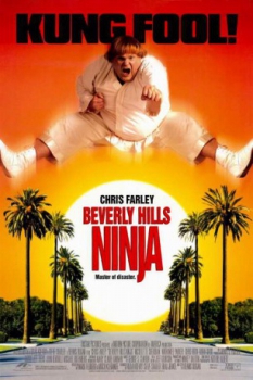 poster Un ninja en Beverly Hills&nbsp;&nbsp;(1997)