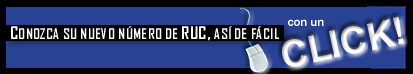RUC de 11 digitos