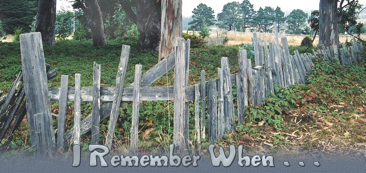 Holes In The Fence