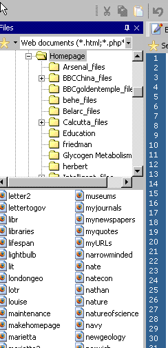 Webcoder directory