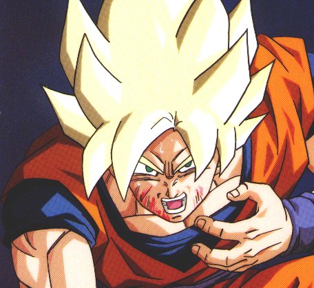 Goku Goku