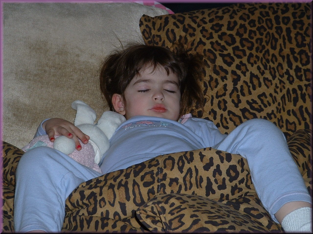 Sleeping Beauty Zzzzzzzzzzz