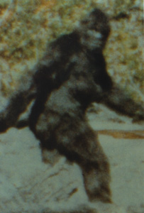 Patterson/Gimlin. � 1968, Ren� Dahinden