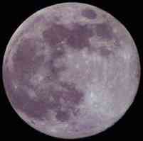 lycanthropy