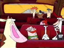 Chicken lost his beak after smashing his head against a traffic sign