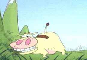 The way Cows should behave