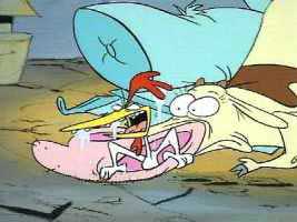 Chicken crawling out of Cow's nose