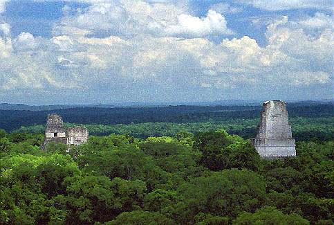 View from Temple IV ... in front are the Temples I - II - III