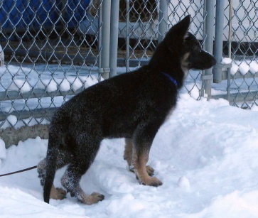 Jadon & Miley & Raven