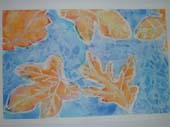 DSCN0155