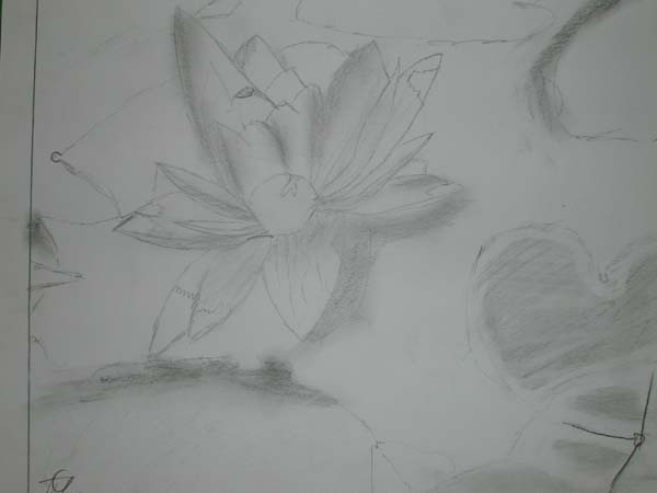 DSCN0023