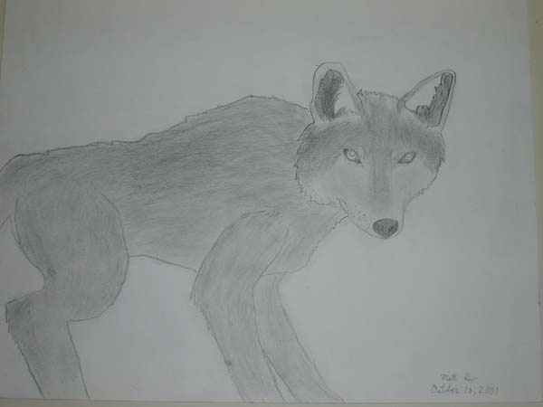 DSCN0026a
