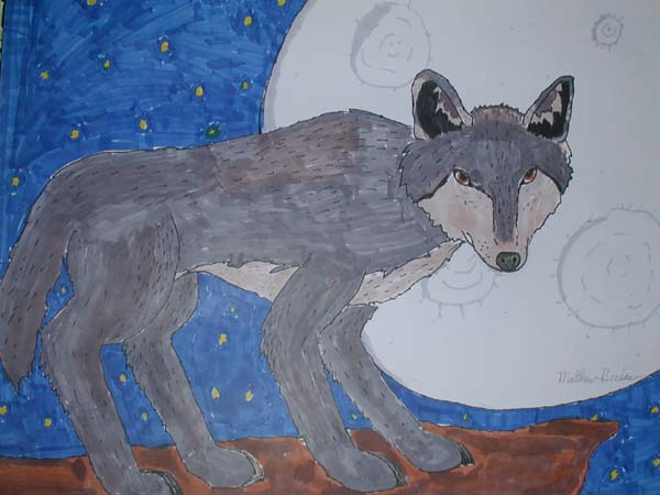 DSCN0026b