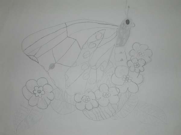 DSCN0027a