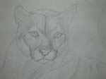 DSCN0021