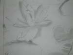 DSCN0023