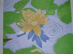 DSCN0024