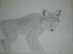 DSCN0026a