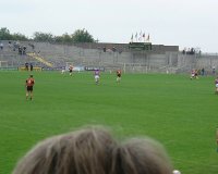 Click on the image to see an enlarged version