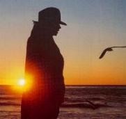 I want to share this sunset with you.......