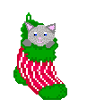 kitty