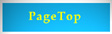 PageTop