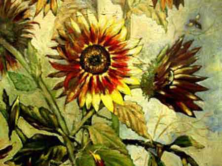 Aldes:Suncokreti-ulje