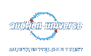 Auction Universe