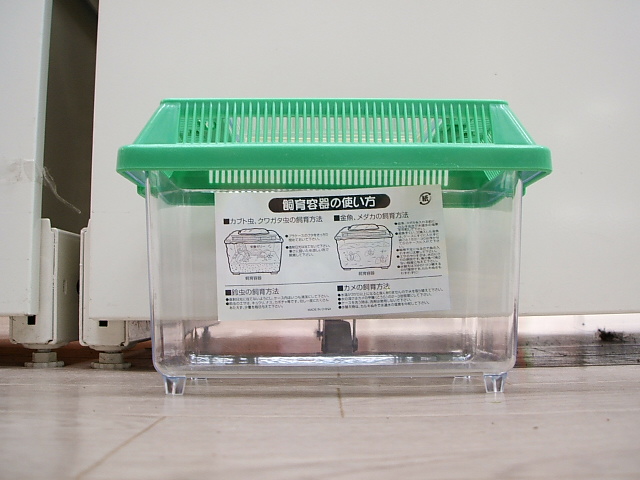 Animal Crossing in Japan