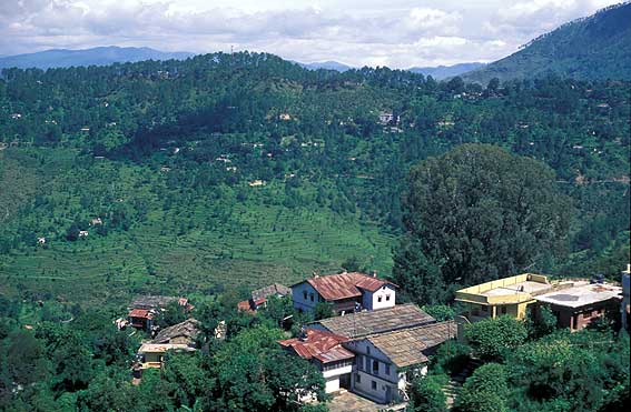 almora2
