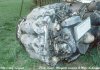 Ghost50