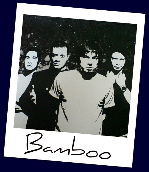 Bamboo
