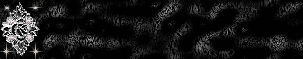 Border Background