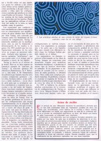 Para ampliar la imagen hac� click sobre ella