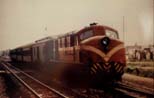 Locomotora #5775 con local con el esquema rojo y blanco, aqu� llegando a estaci�n Tapiales. Mediados del '60. Foto Miguel Angel Pignataro.