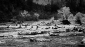 Stromschnelle am Pont d'Arc