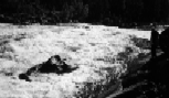 the rapids at Torskstroemmen