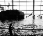 Chicago-Aquarium