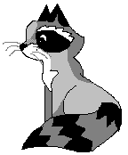 Roxy the Raccoon