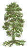 MCGS
