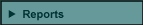 Reports button