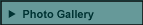 Photo Gallery button