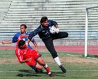 Gilberto Angelucci - 1999