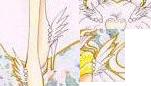 Guide images