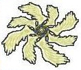 This is the image I used as a guide