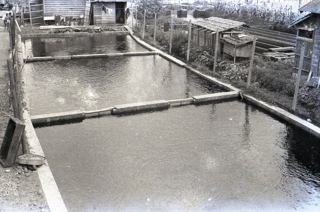 From Slip 12